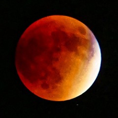 21152629913_3df329d2c2_m