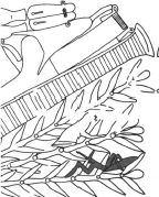 Hair styling tools and accessories illustration.