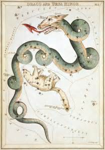 Illustrated constellation map with dragon and bear.