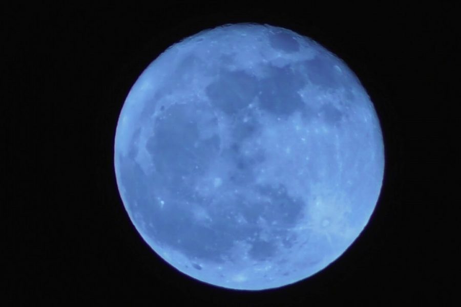 A blue moon is seen in the sky.