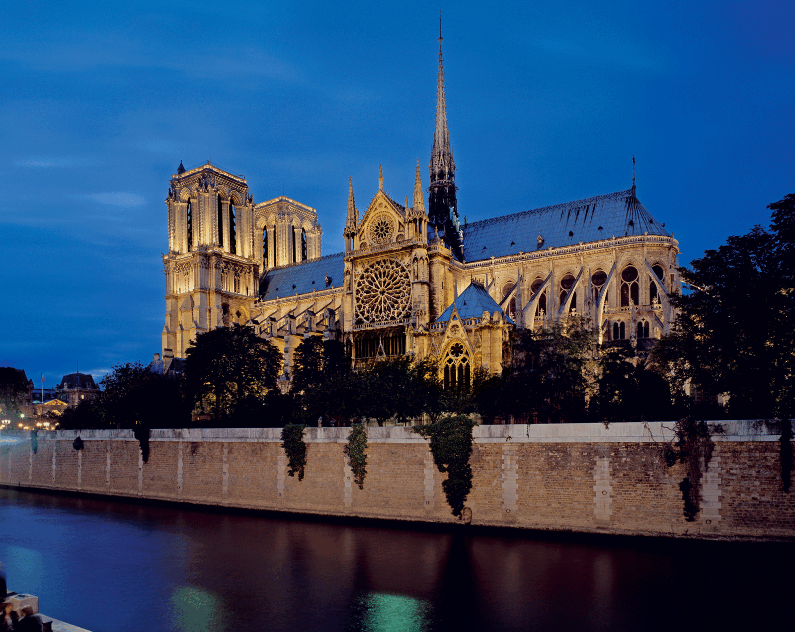 Bloodlines, After Saint Sulpice, fire in Notre Dame de Paris