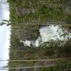 A white waterfall in the middle of a forest.