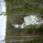 A waterfall in the middle of a forest.