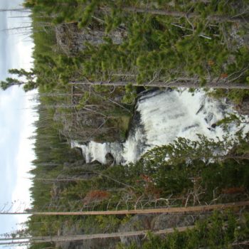 A view of trees and water from above.