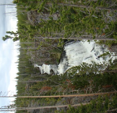 A white stream running through the middle of a forest.