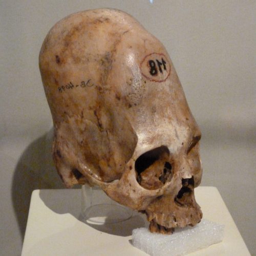 A skull with numbers on it's face and a white base.