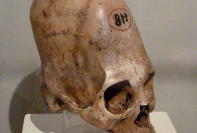 A skull with numbers on it's side.