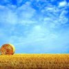 A large hay bale in the middle of a field.