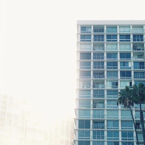 A tall building with many windows and palm trees.