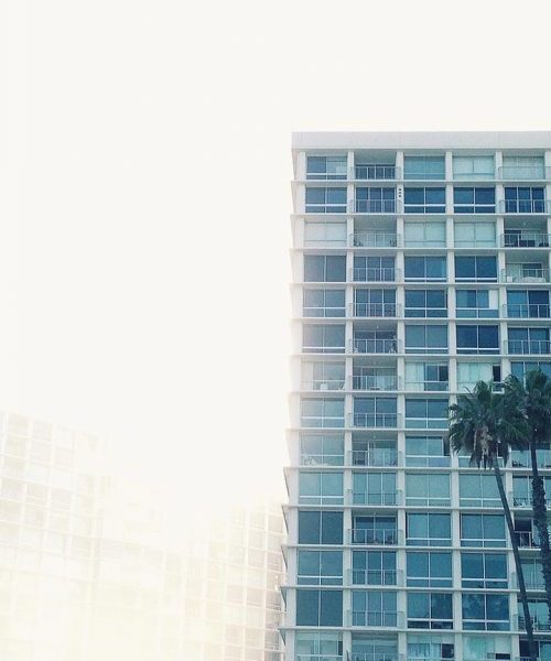 A tall building with many windows and palm trees.