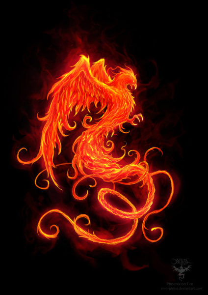 A fire dragon is shown in flames.