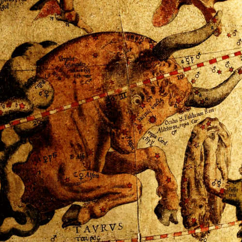 A painting of an animal with horns on it.