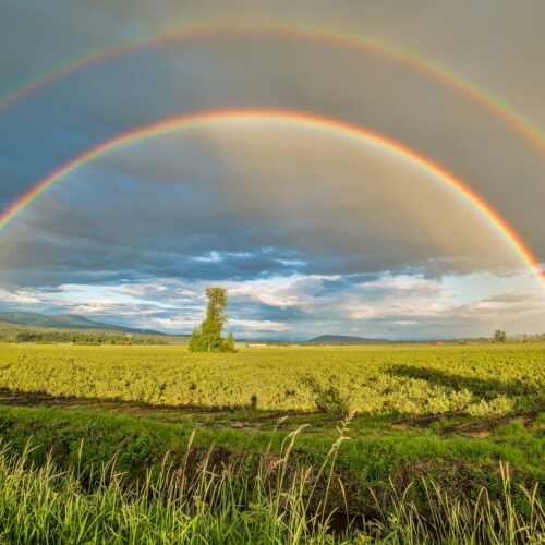 A rainbow over the field with grass in front of it