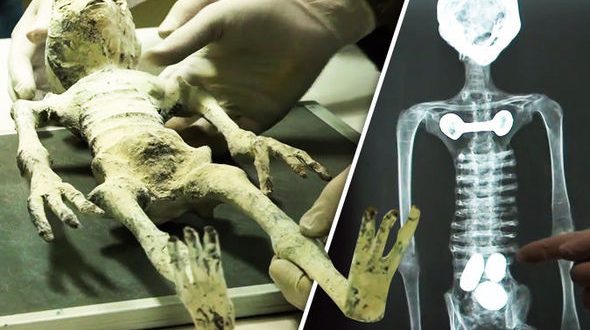 Non Human Mummies in Nazca Peru