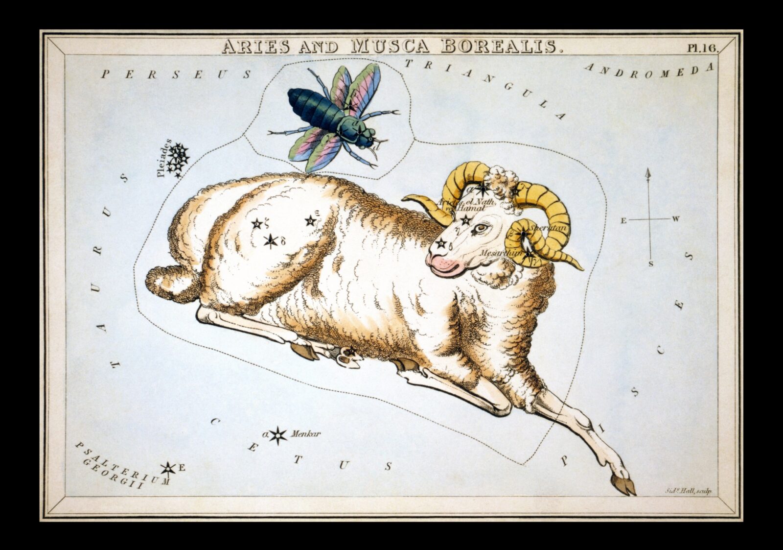 Nodal Axis Change – North Node in Aries – July 2023. Members.