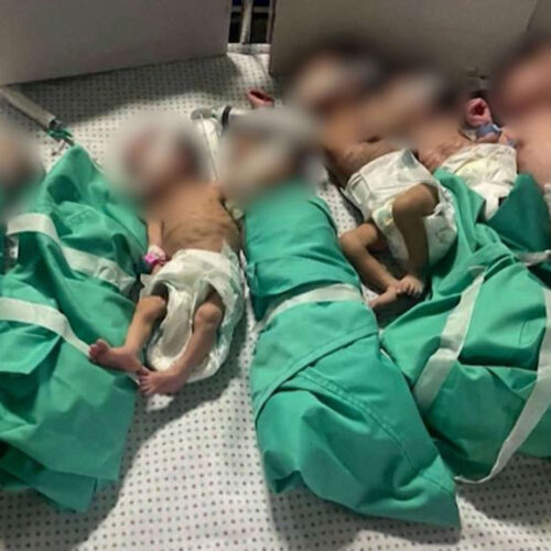 A group of babies wrapped in green blankets.
