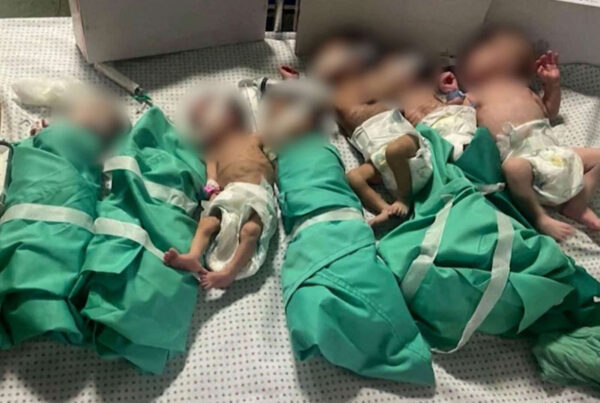 A group of babies wrapped in green blankets.