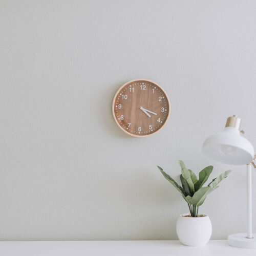 A clock on the wall with a plant in front of it.