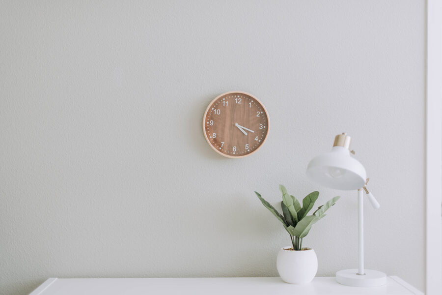 A clock on the wall with a plant in front of it.